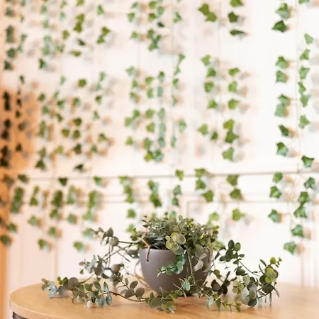 #nouveau@nature&beaut# * Cognac