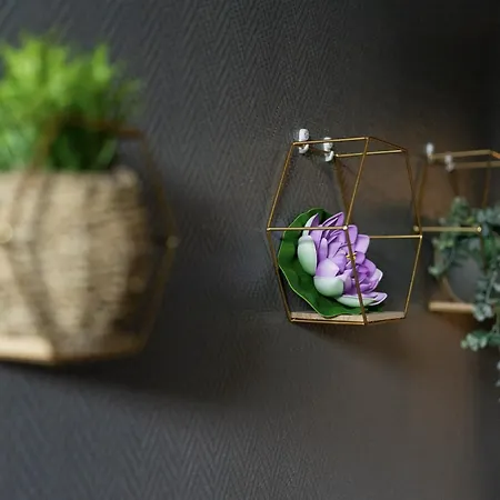 #nouveau@nature&beaut# * 코냐크